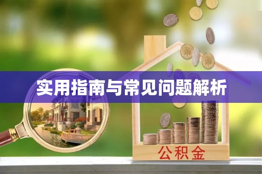 和平实用指南与常见问题解析
